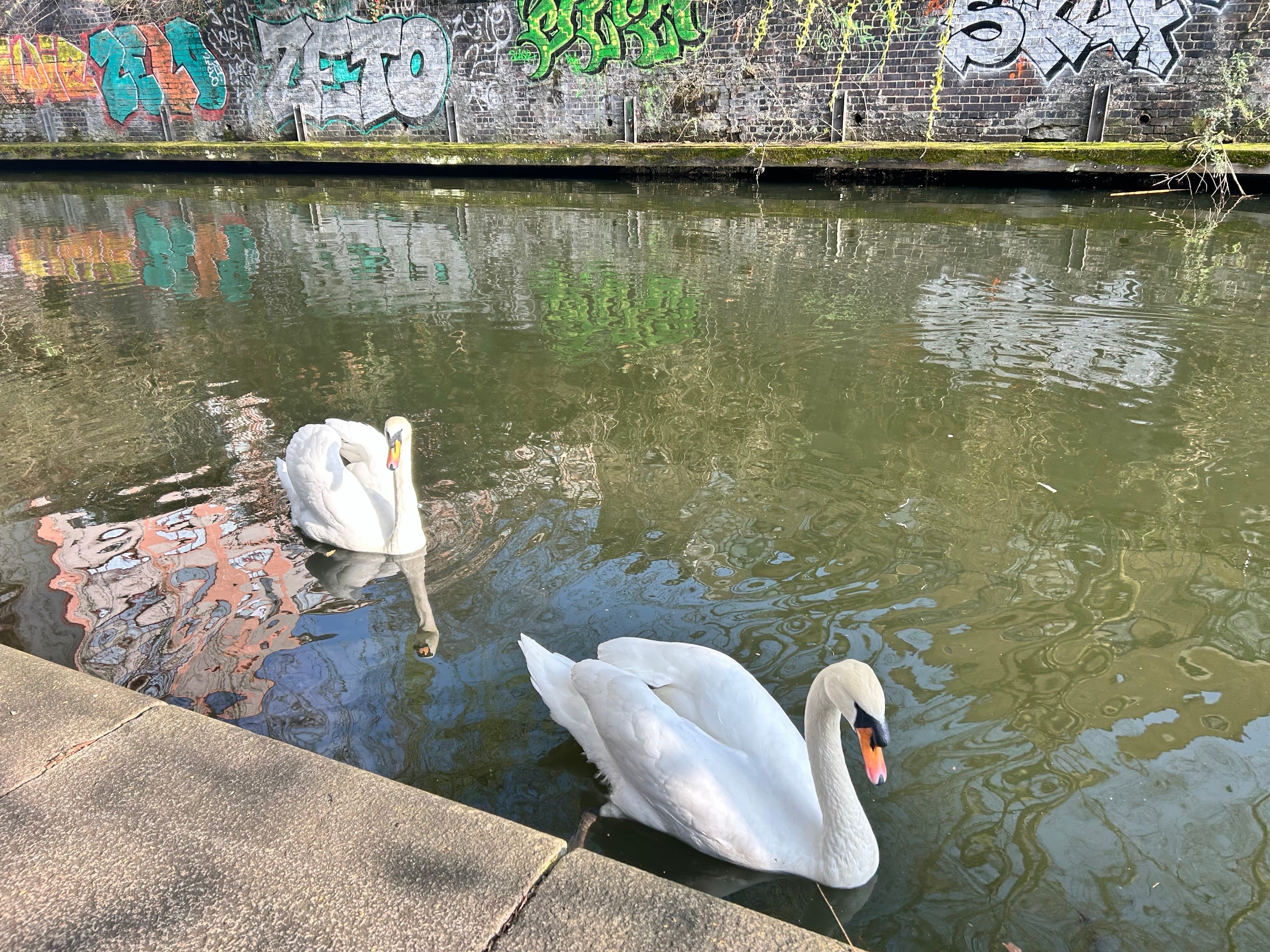 Walk along the Regent’s Canal