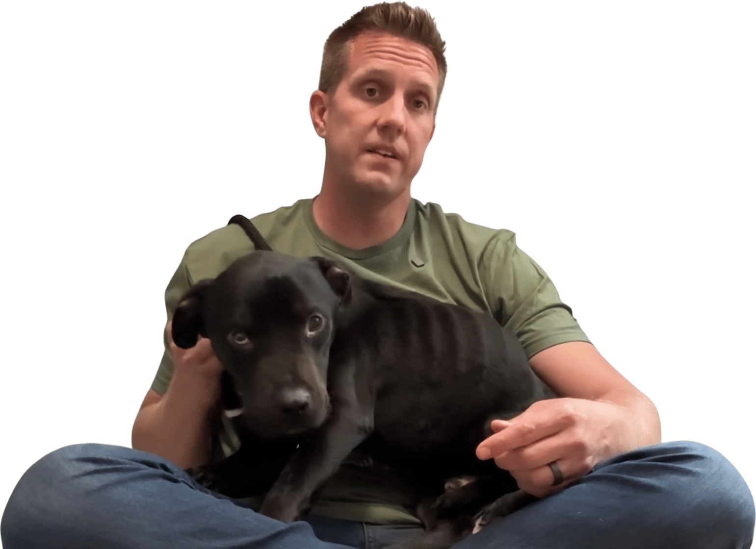 Sitting With Dogs