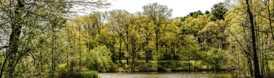 The Emerald Necklace