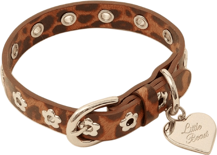 Little Beast Flower Power Collar