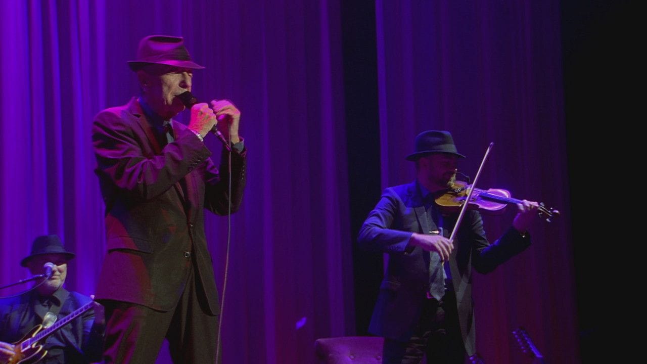 I'm Your Man (Live in Dublin)