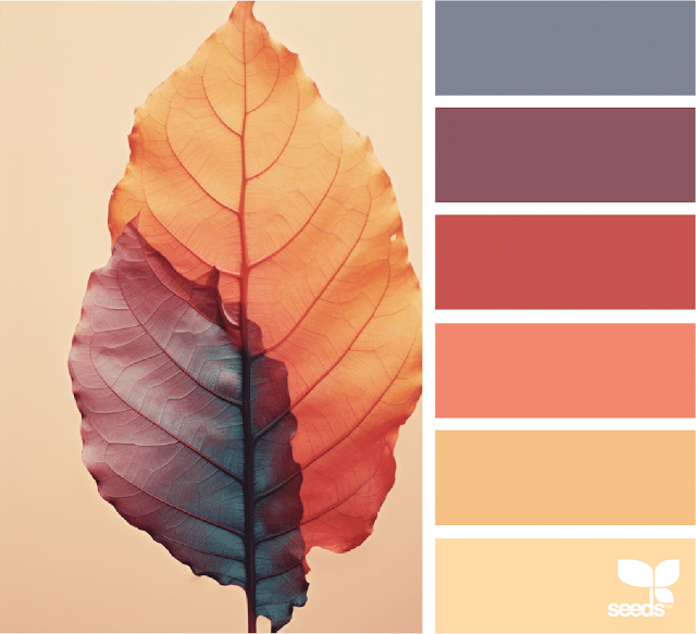 Design Seeds