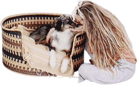 Members-Only Recommendation