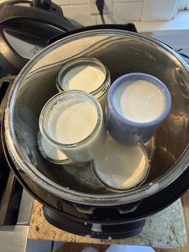 La Fermière Copycat Yogurt Recipe