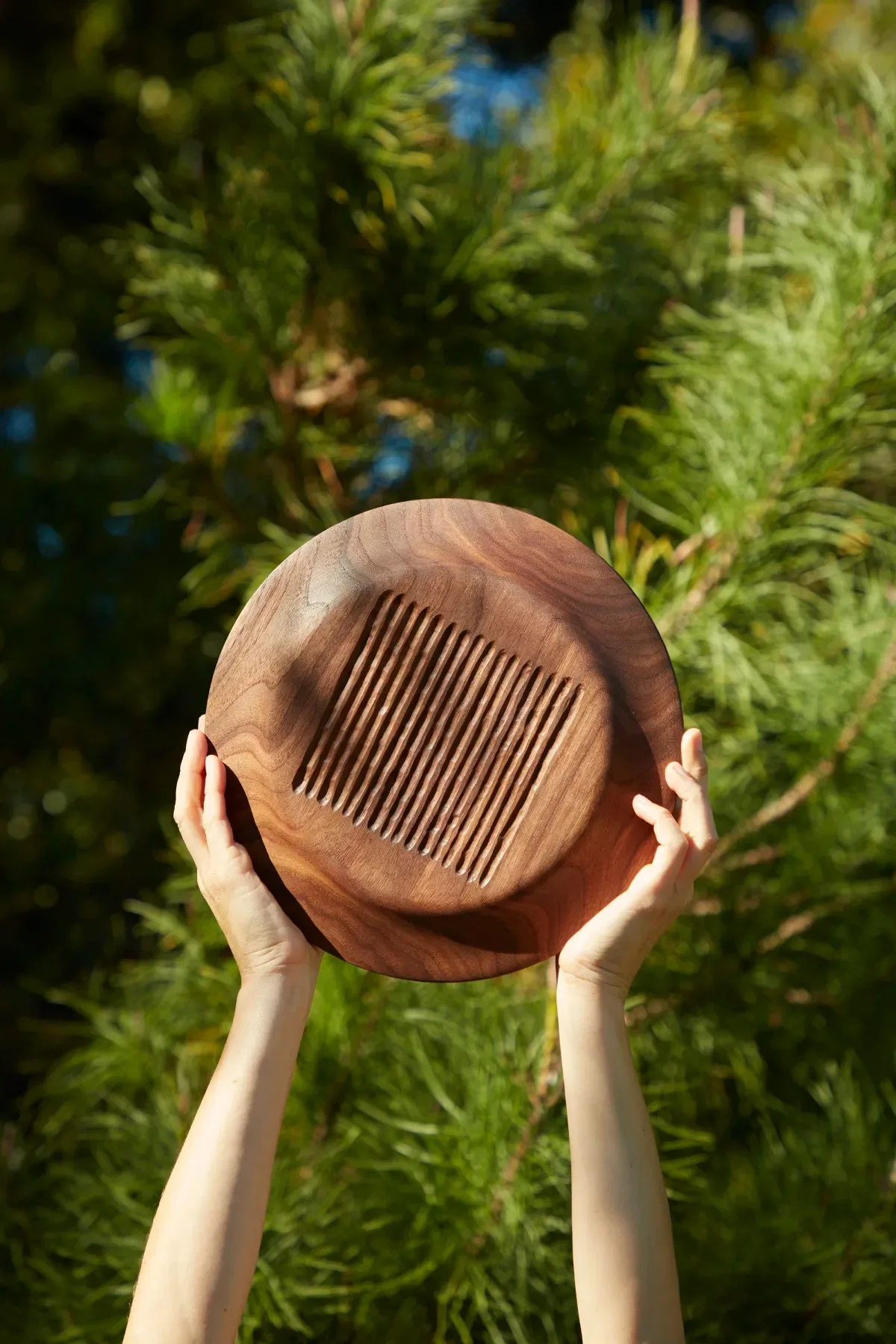 Blunk Plate (Chisel Circle)