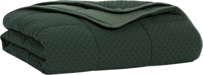 Weighted Throw Blanket