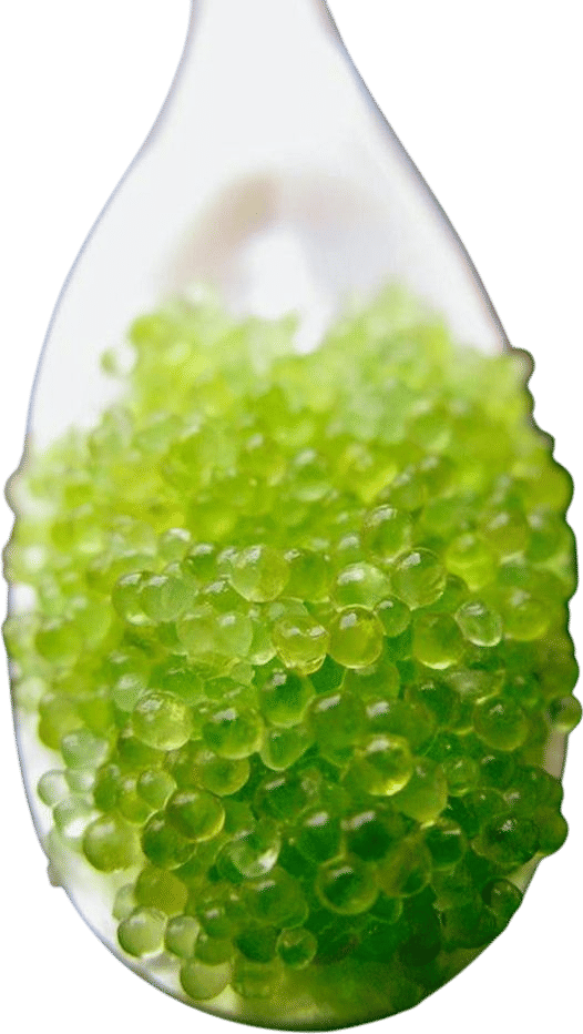 Wasabi Infused Flying Fish Roe