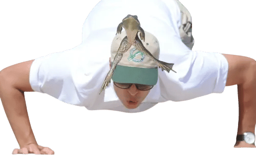 Calaveras County Fair & Jumping Frog Jubilee