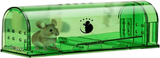 Driving a Mouse to the Woods After You Catch It
