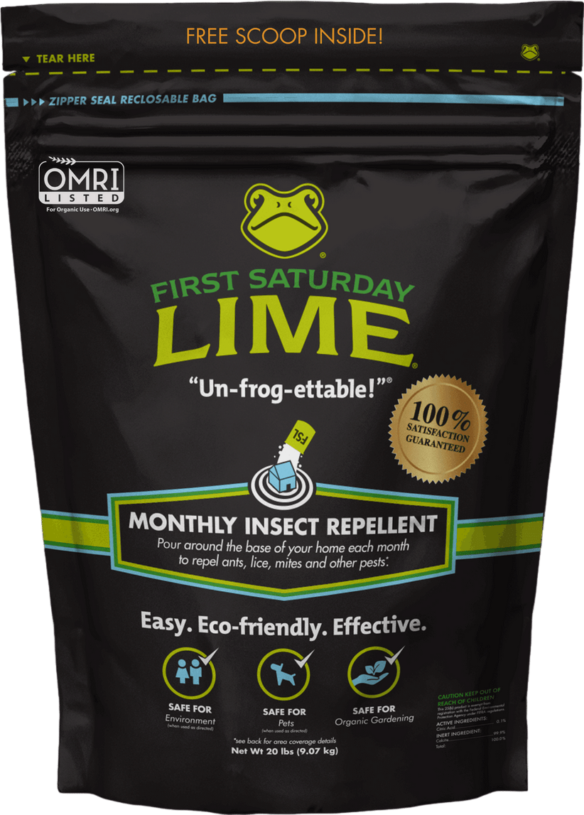 First Saturday Lime