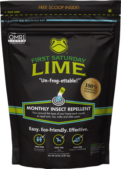 First Saturday Lime
