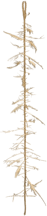 Witch's Ladder