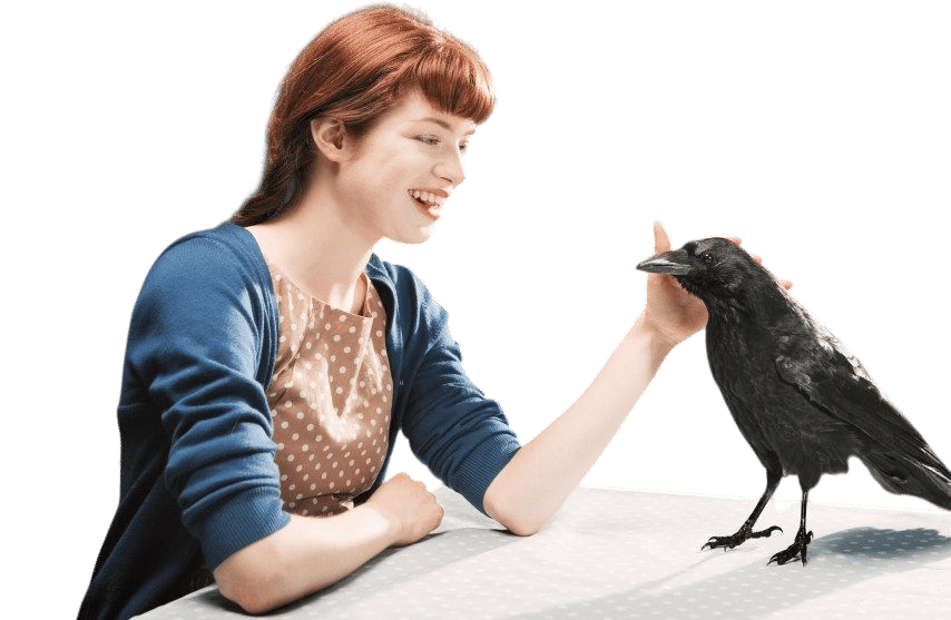 How to Make Friends with Crows