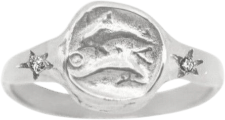 Whirling Dolphins Signet in Silver