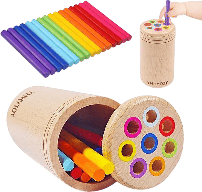 Montessori Color Sorting Toy