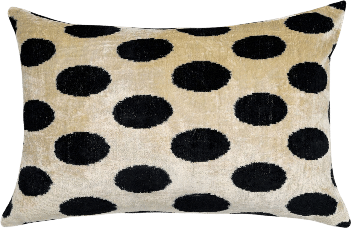 Velvet Throw Pillow
