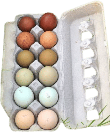 Alchemist Farm Hatchery