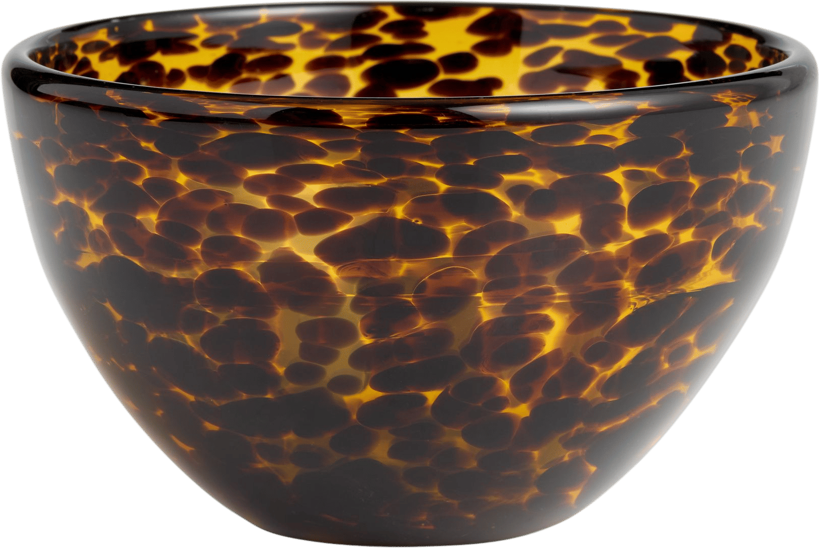 Tortoise shell bowl from world market
