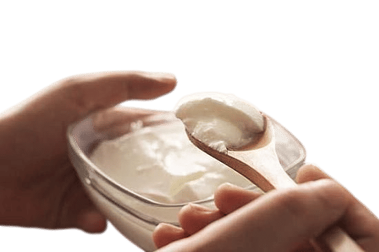 Greek Yogurt (city wildlife appreciation)