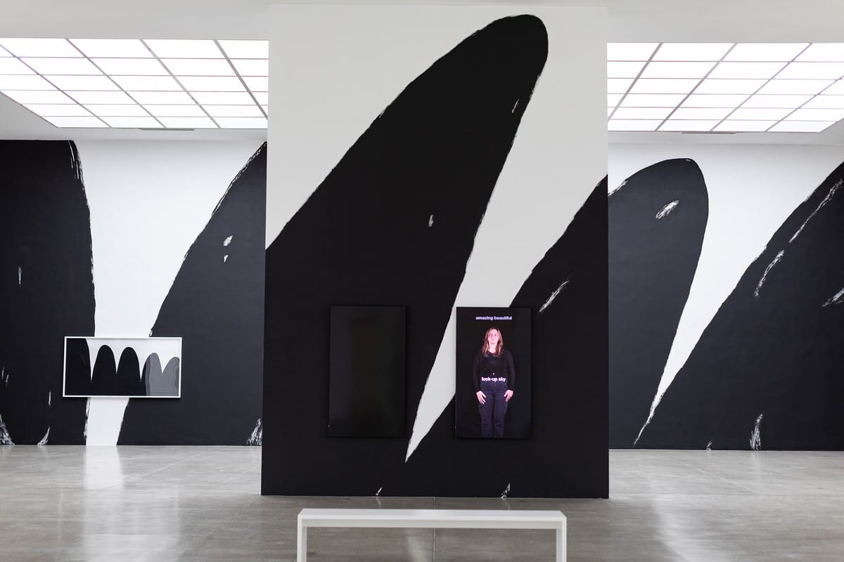 Christine Sun Kim: Twenty-Four-Seven