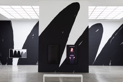 Christine Sun Kim: Twenty-Four-Seven