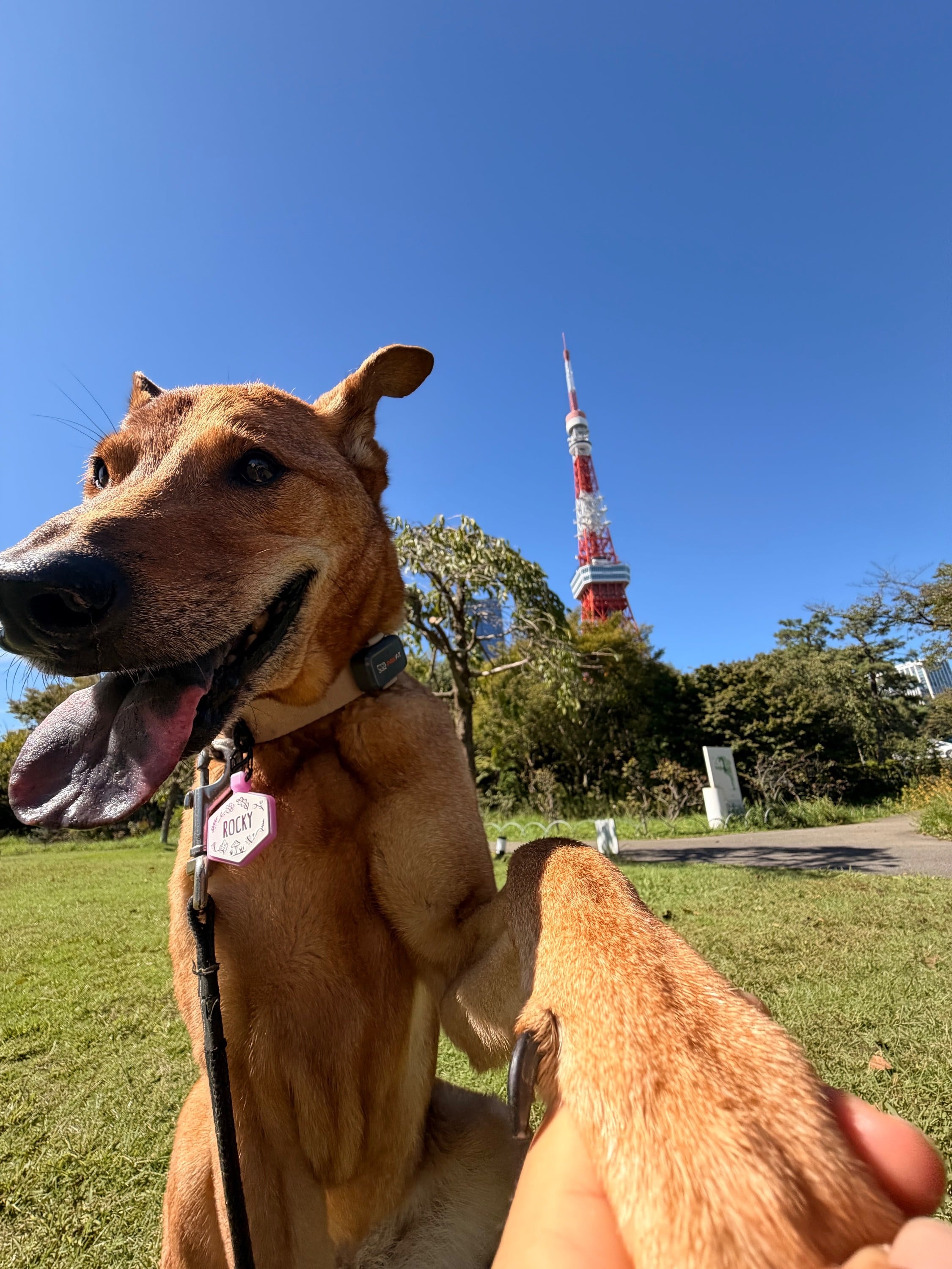 Selfie with Tokyo Tower