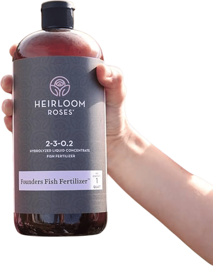 Rose fertilizer