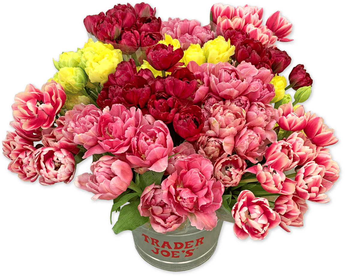 Trader Joe's Peony Tulips