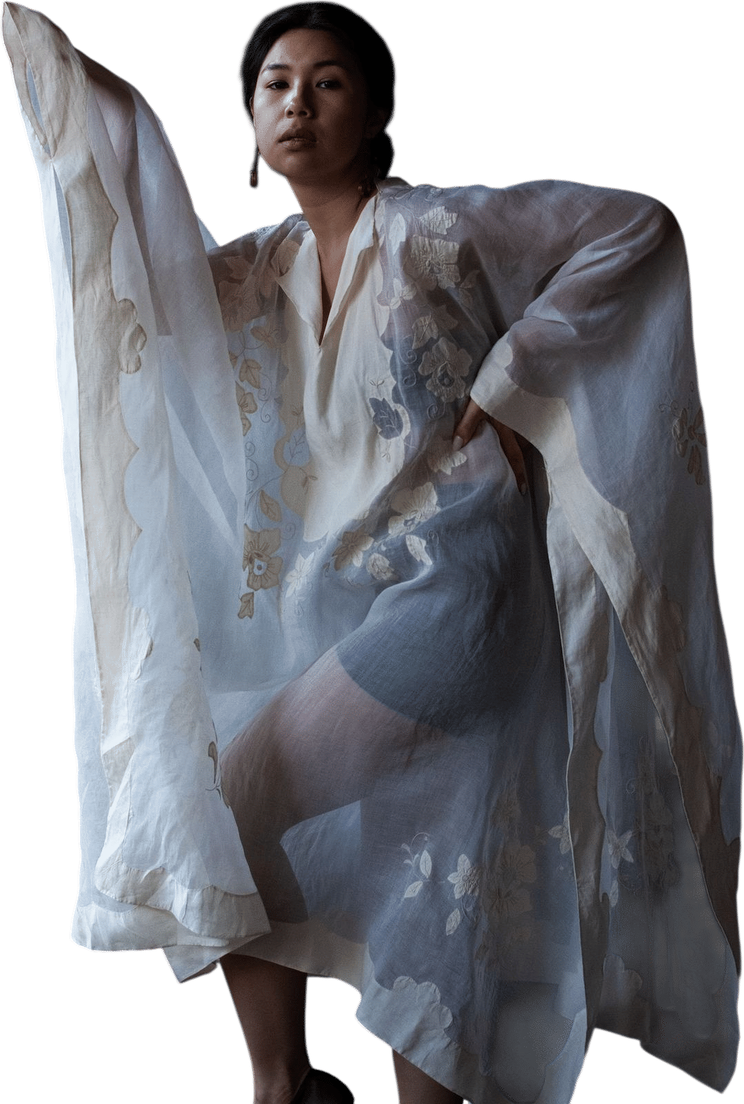 1920s Organdy Caftan