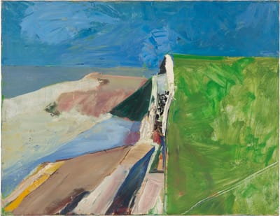Seawall