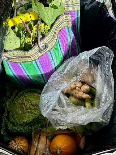 Where I Grocery Shop in NYC (and my greenmarket routine)