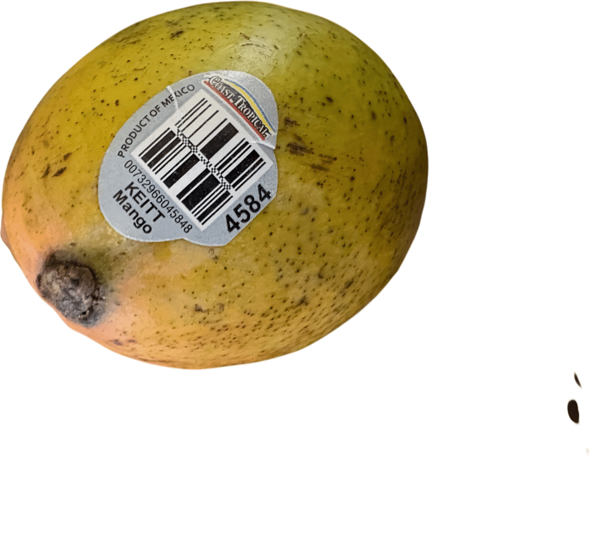 Kiett mangoes