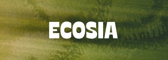 a search engine that supports climate action