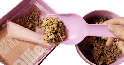 Fresh Dog Food