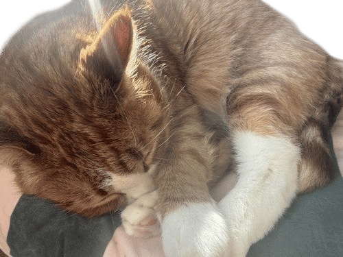 Sleep with your head at the foot of your bed