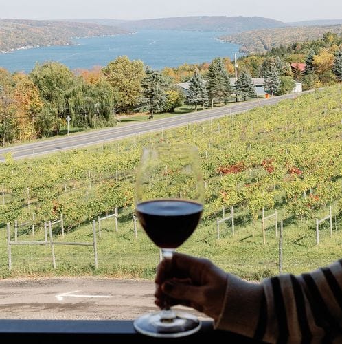Living Roots Winery
