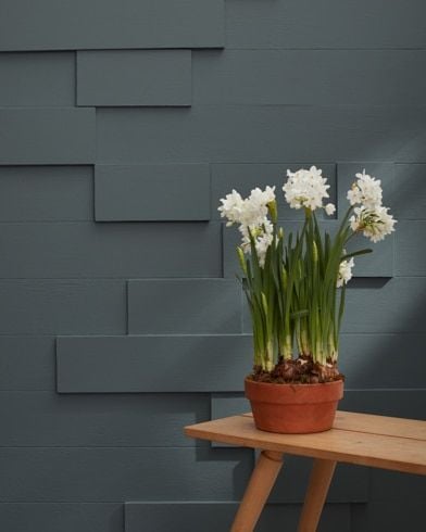 Flint | Benjamin Moore