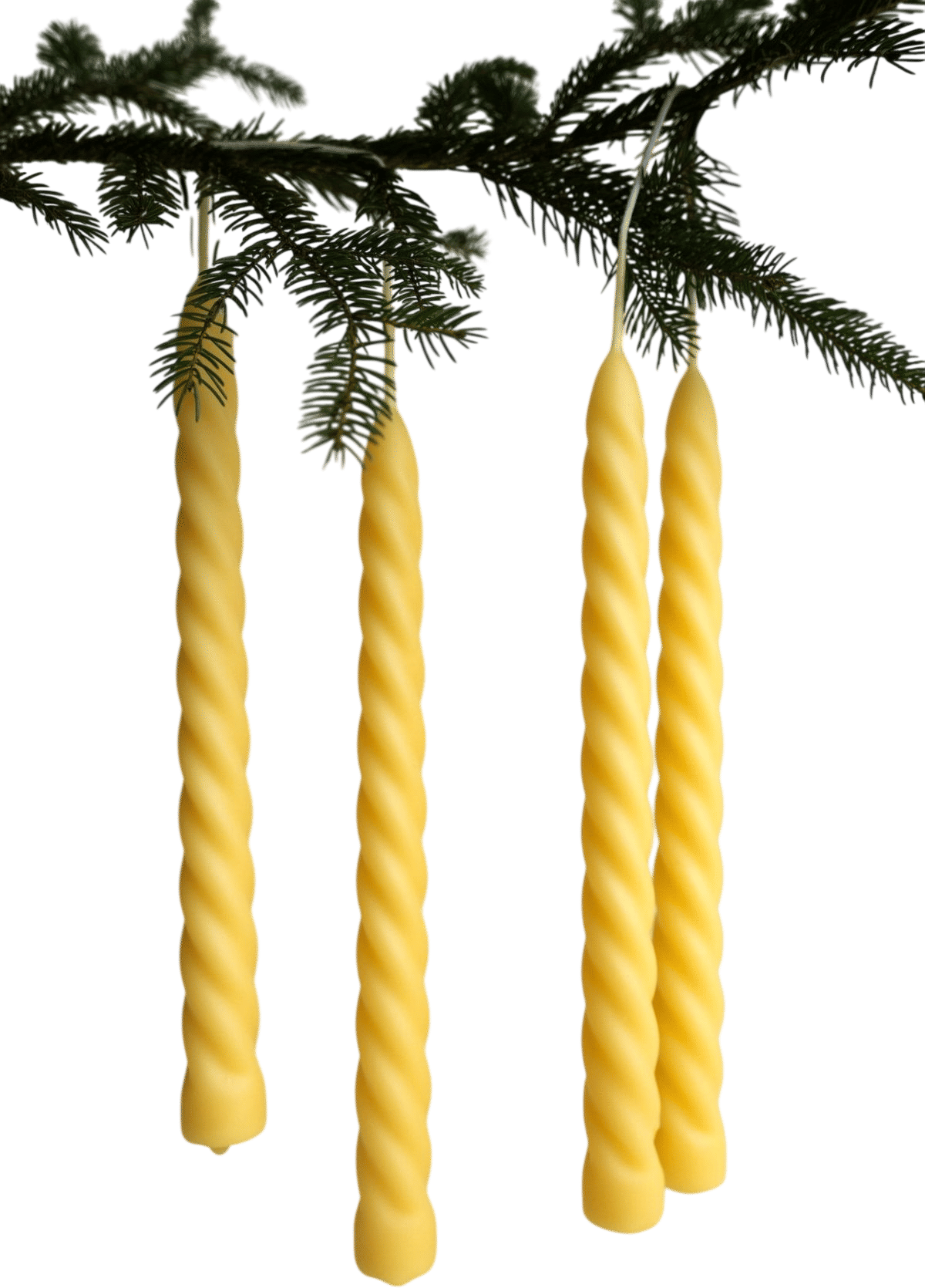Spiral Beeswax Taper Candles