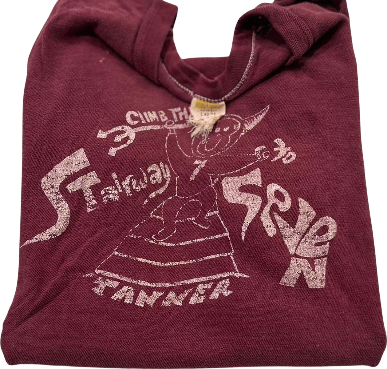 Russell Athletic Men's Burgundy and Purple T-shirt