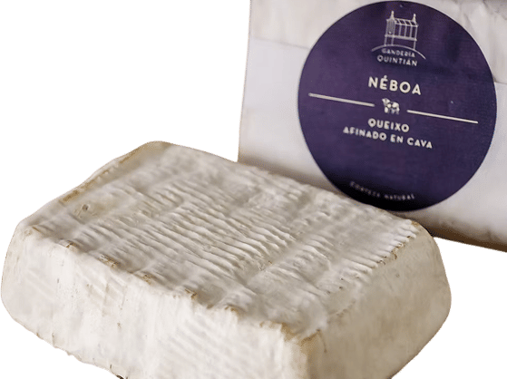 Néboa Cheese