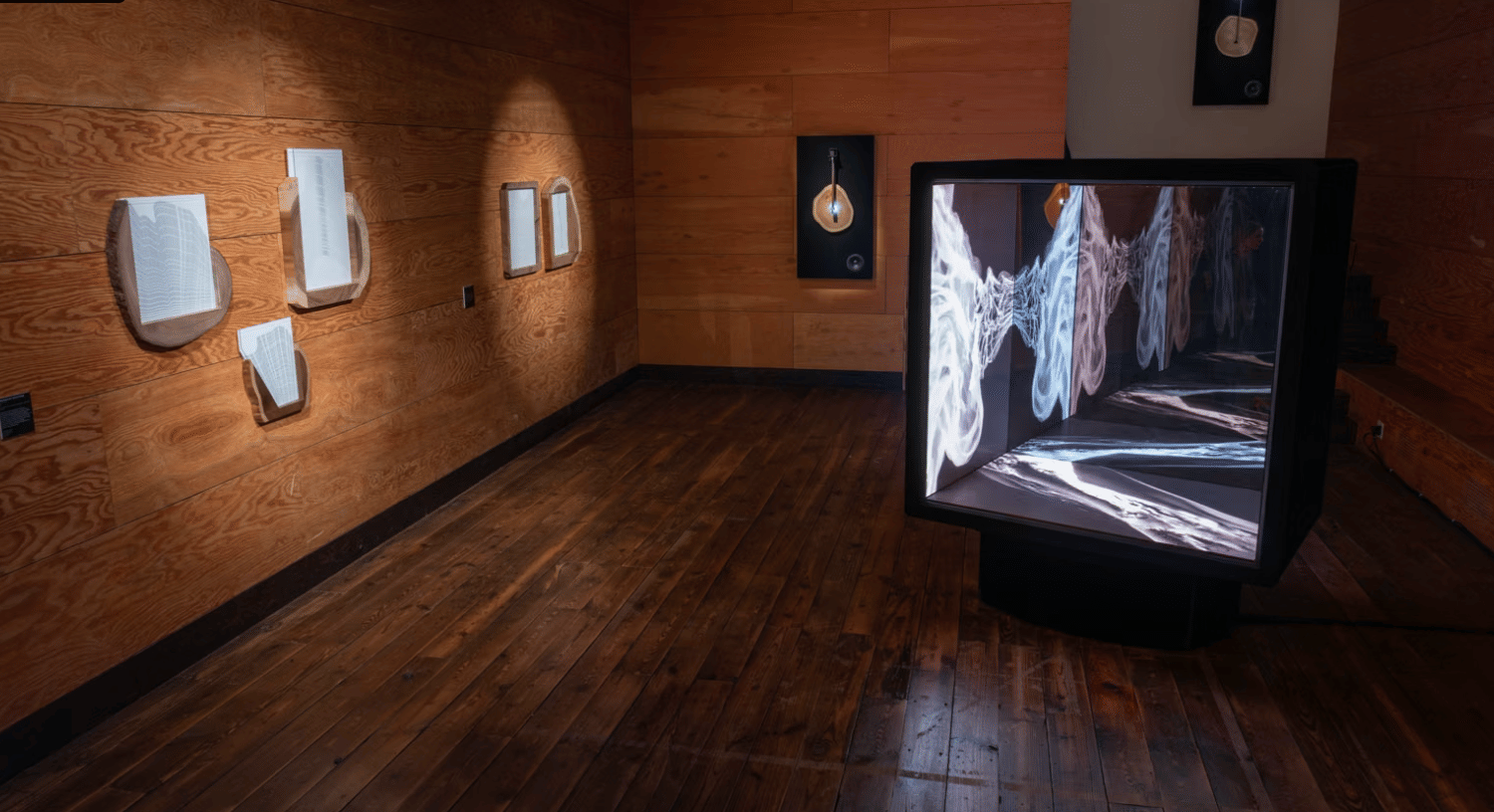 Watershed Art & Ecology