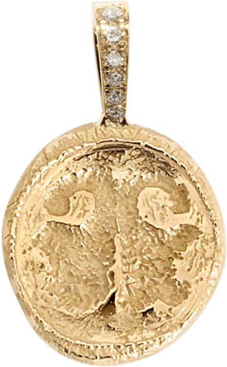 Nose Print Coin