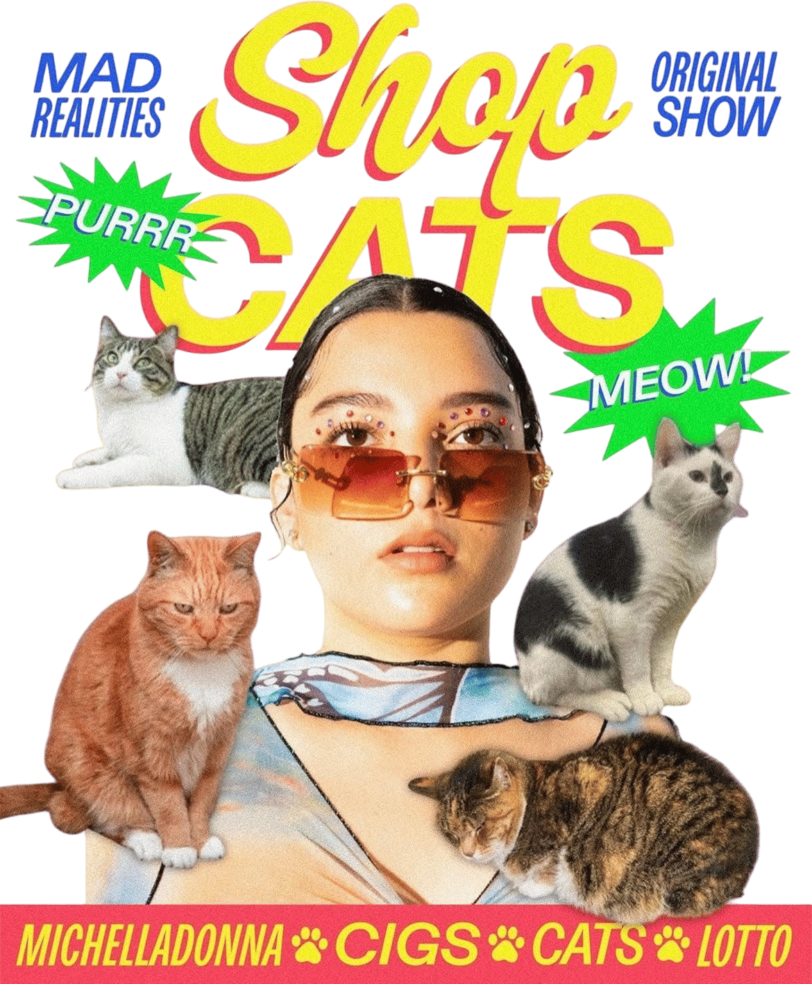 Shop Cats 🐱