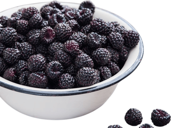 Blackberries - 8g fiber/cup