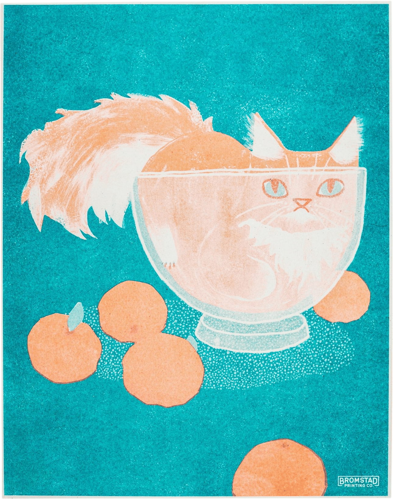 Orange Cat in a Bowl - Risograph Print