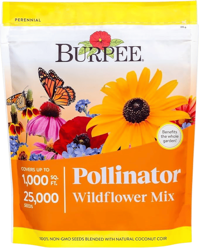 Burpee Wildflower 25,000 Bulk Flower Seeds