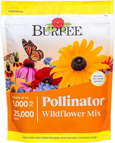 Wildflower 25,000 Bulk Flower Seeds