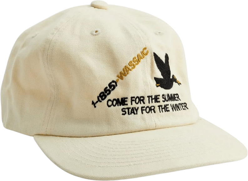 Wassaic Project Dad Hat