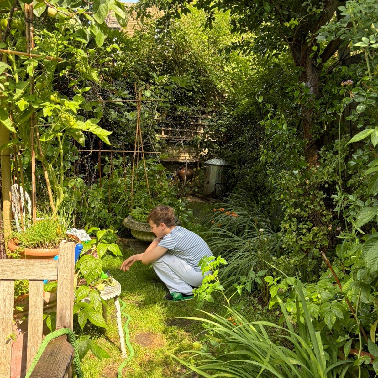 Garden