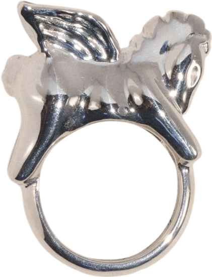 Pegasus Ring